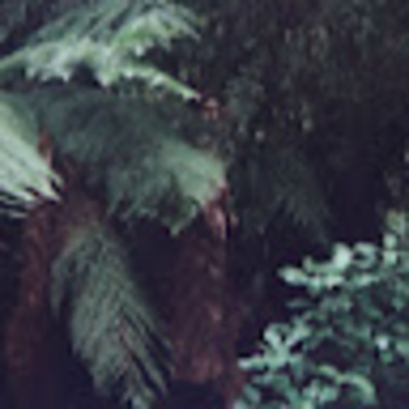 Meet your Posher, Marelle - Picture 1 of 1